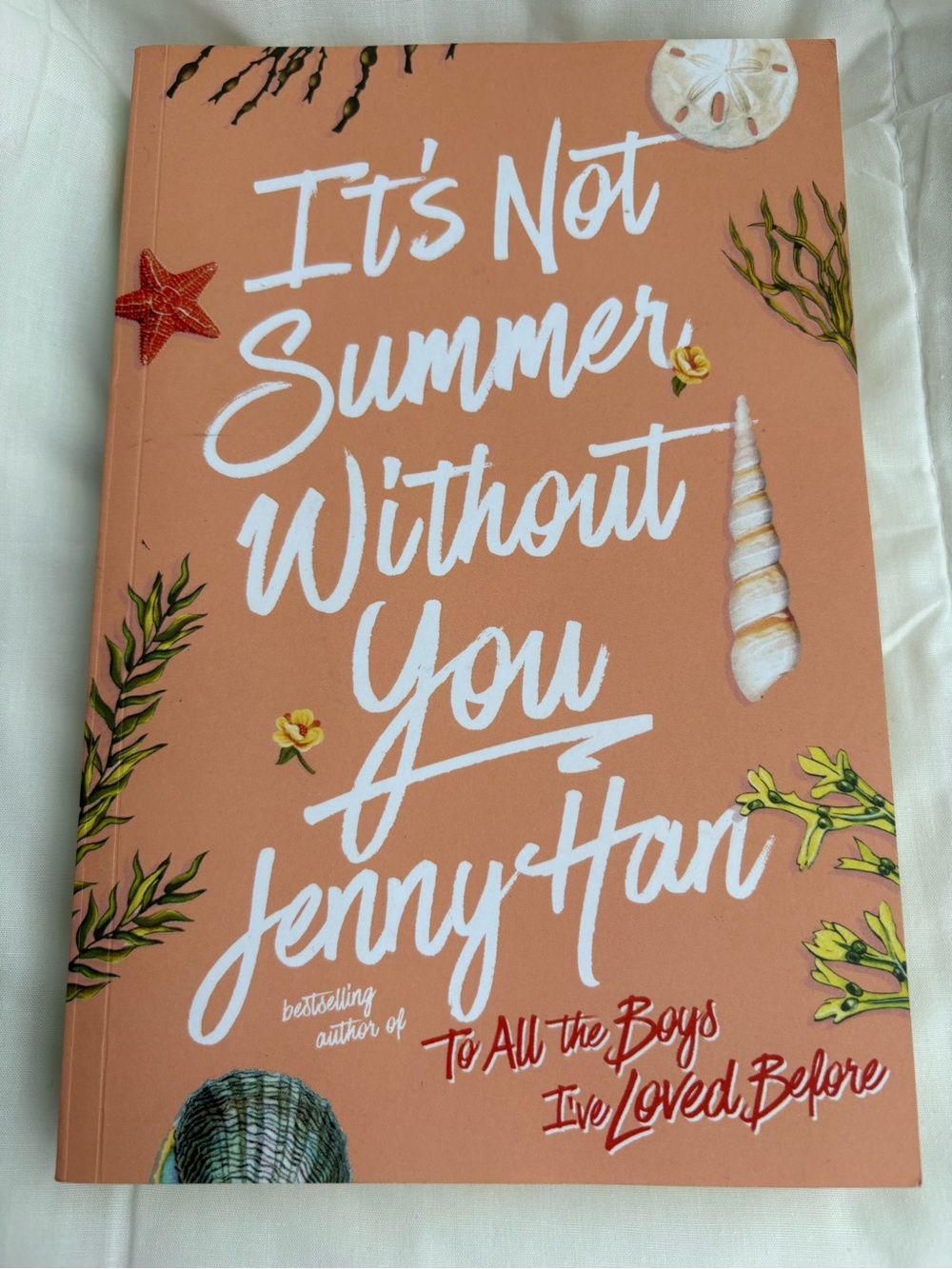 Jenny Han, It’s Not Summer Without You.